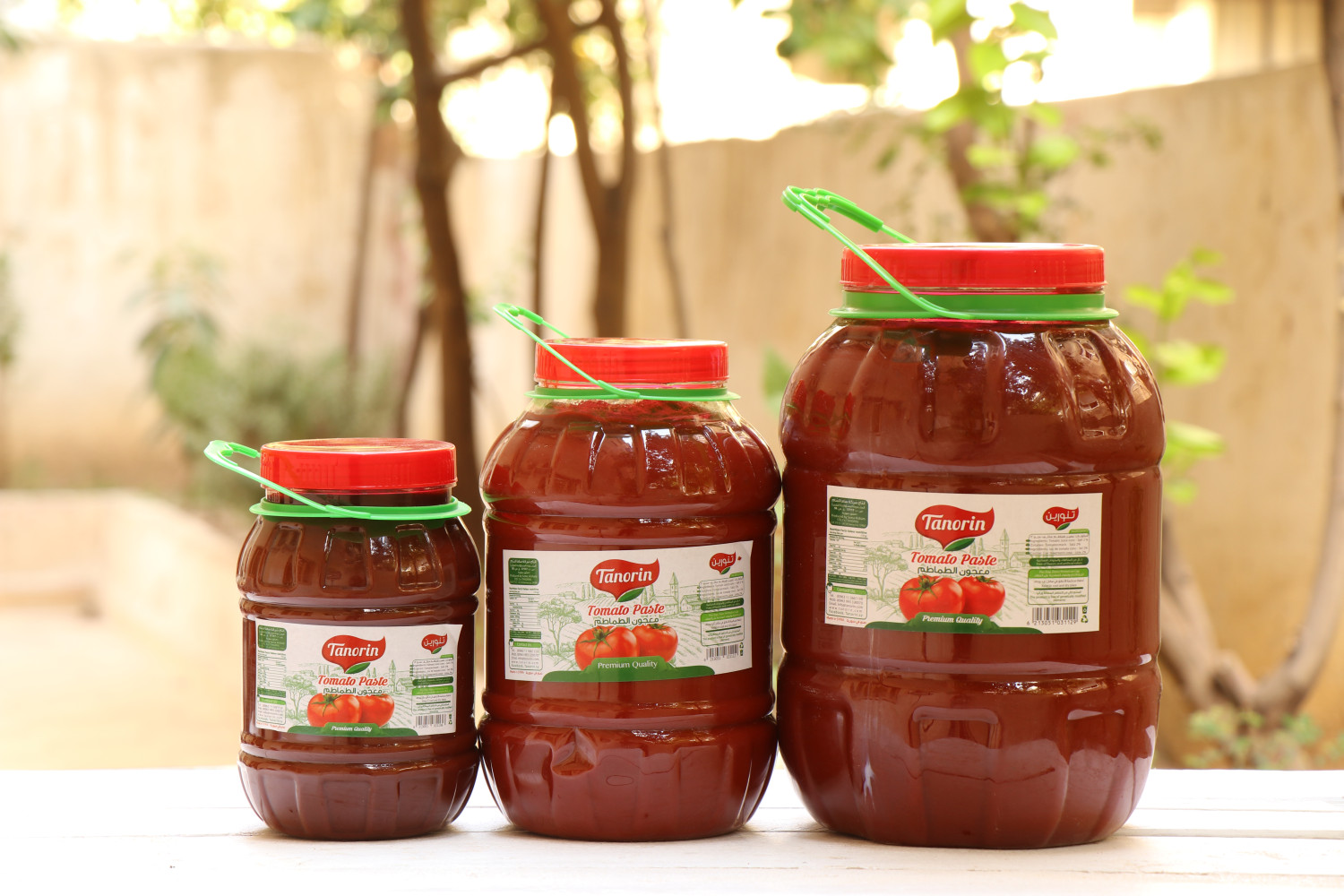 Tomato paste  2000 g