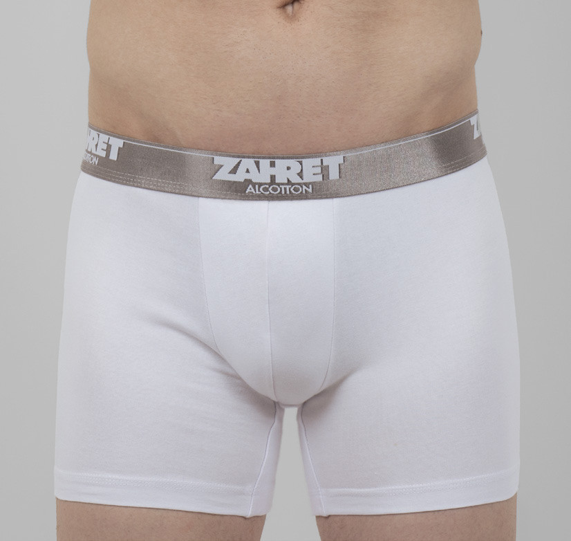 Men's Underwear Cotton Stretch Trunk Boxer - Hover