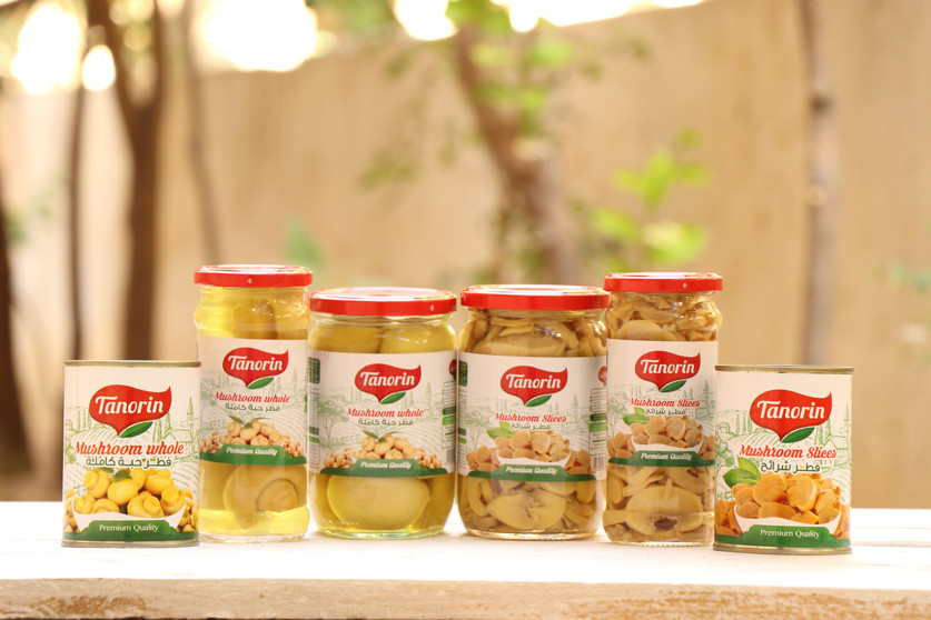 sliced Mushrooms 350g canned